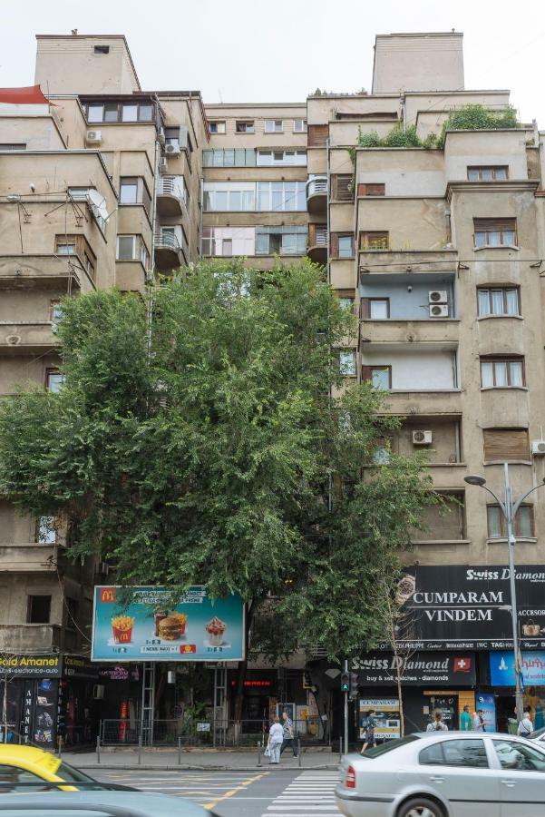 Petite Maison Sur Le Boulevard Bukarest Kültér fotó